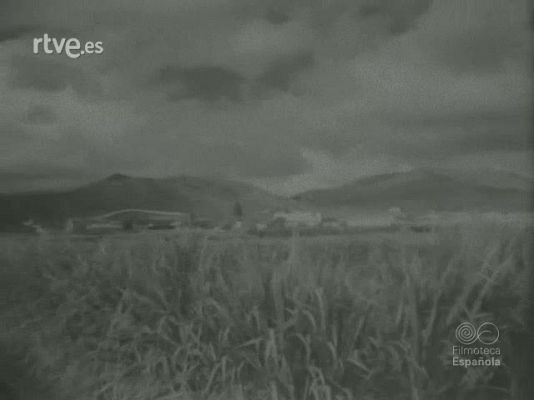 Documentales Blanco y Negro - VISION FANTASTICA