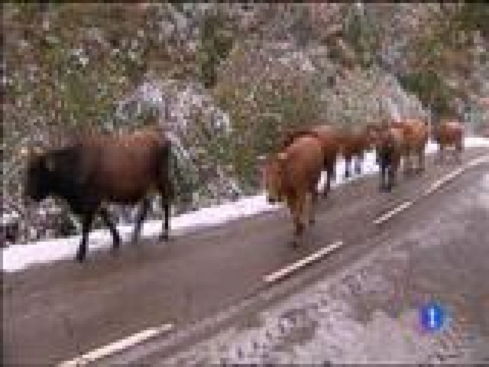 Panorama Regional: El tiempo en Asturias -05/11/14 | RTVE Play