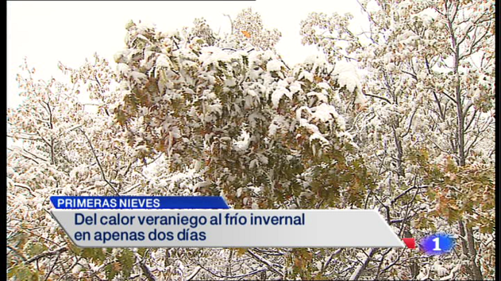 Telerioja en 2' - 05/11/14 | Ver