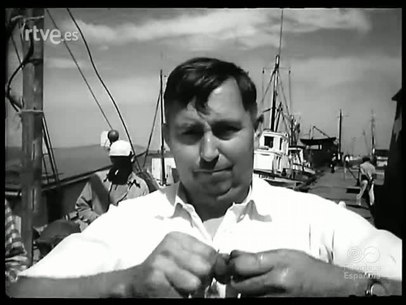 REVISTA ZOOLOGICA - Revista Imágenes | Ver