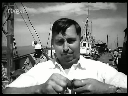 Revista Imágenes - REVISTA ZOOLOGICA