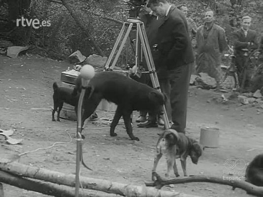 Revista Imágenes - IMAGENES DE FUERA Y DENTRO DEL CIRCO