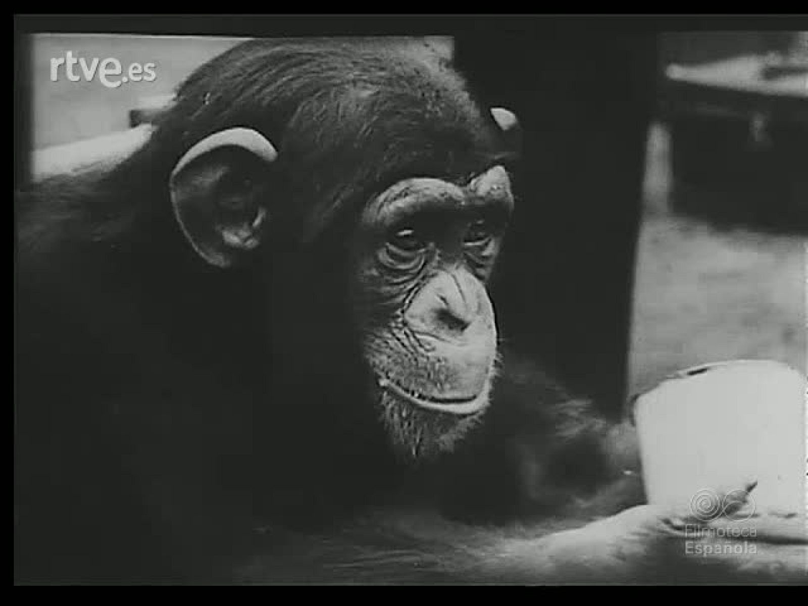 EXTRAORDINARIO Y SENSACIONAL - Revista Imágenes | Ver