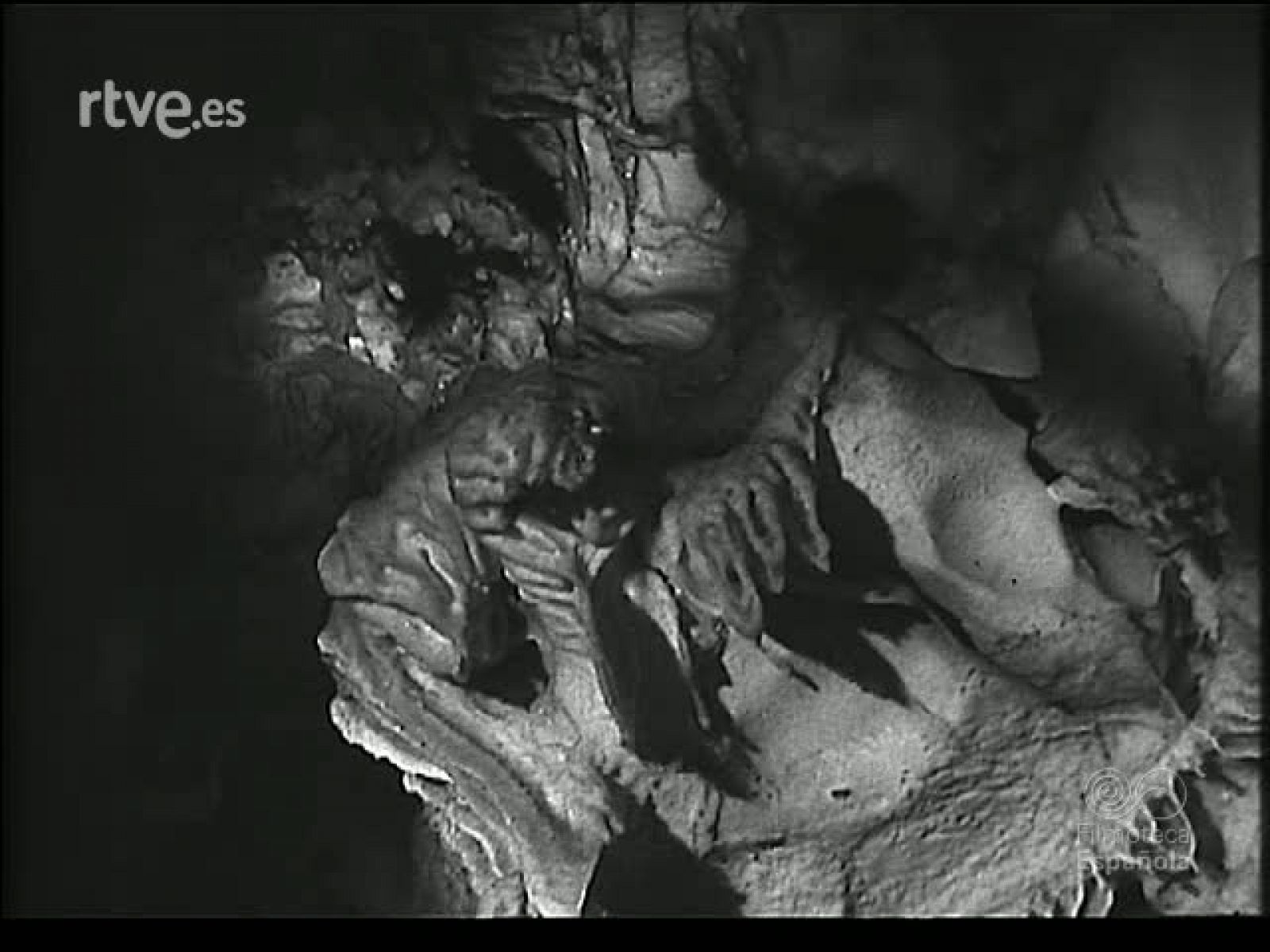 PARA TODOS LOS GUSTOS - Revista Imágenes | Ver