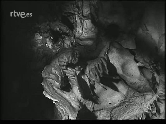 Revista Imágenes - PARA TODOS LOS GUSTOS