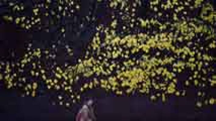 Informativo de Madrid - El tiempo en la Comunidad de Madrid - 07/11/14