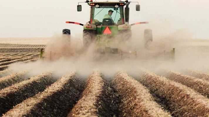 El escarabajo verde - Devorando suelo