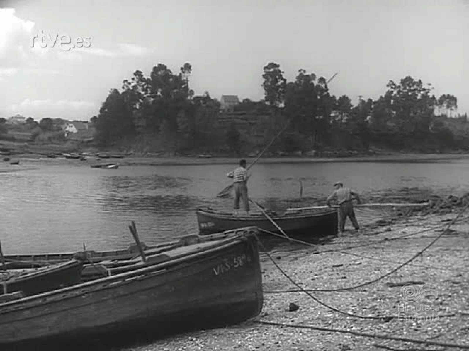 RIQUEZA MARISQUERA - Revista Imágenes | Ver