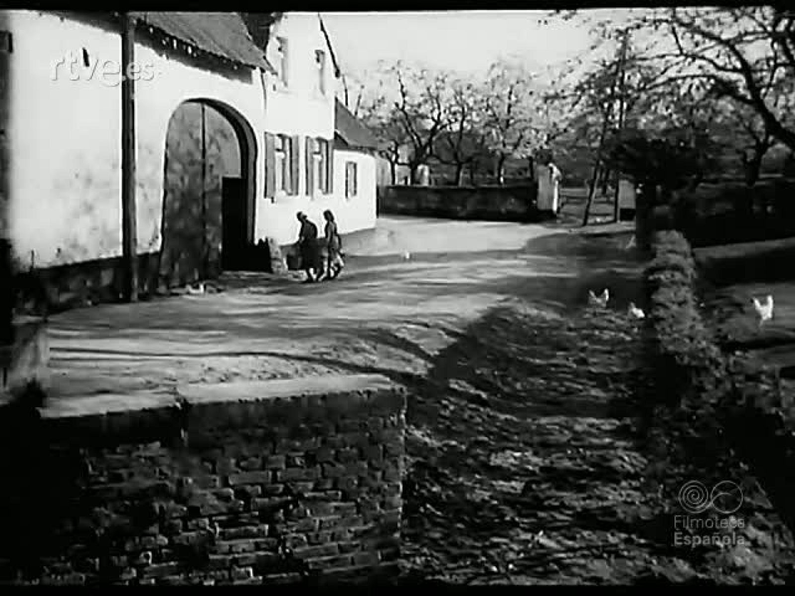 MERIDIANOS DE LA PRIMAVERA - Revista Imágenes | Ver