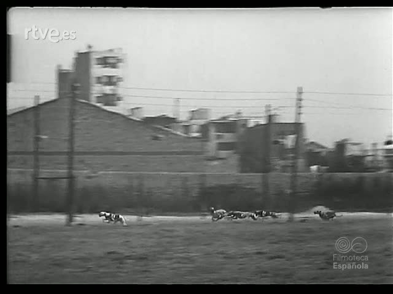 MOSAICO DEPORTIVO - Revista Imágenes | Ver