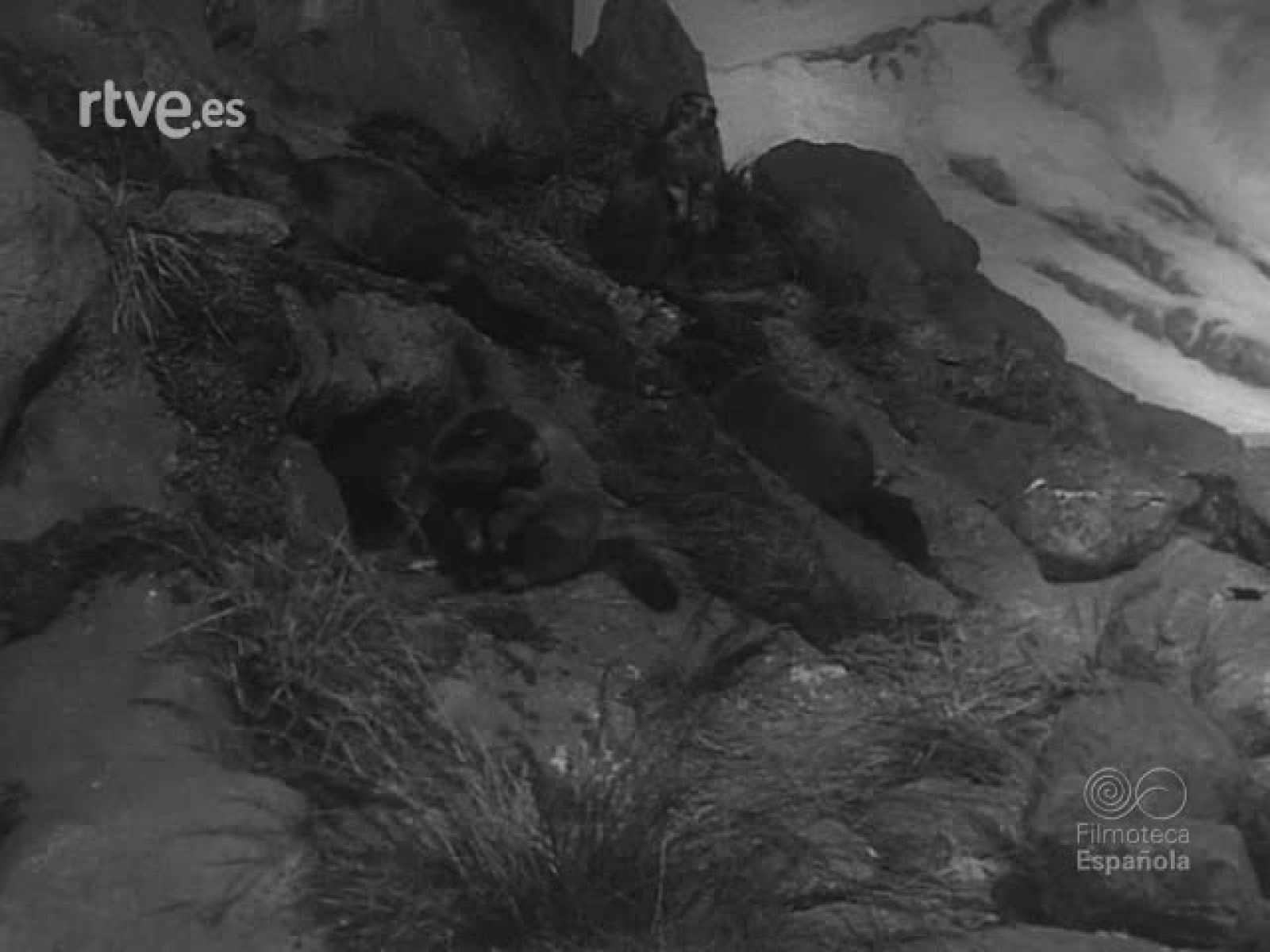 EL HOMBRE TIENE SUS RAREZAS - Revista Imágenes | Ver