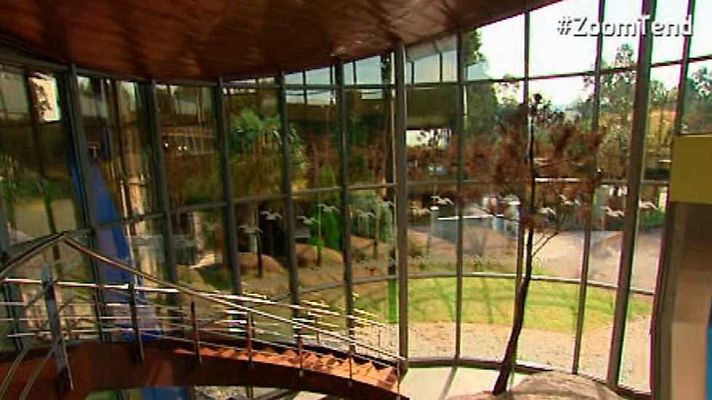 Zoom Tendencias - Vigo, un festín gastronómico