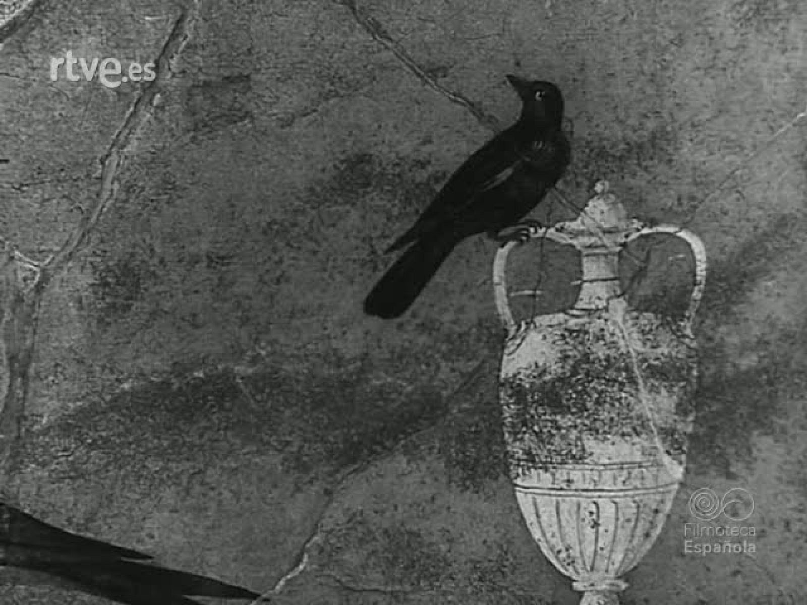 EL EXTRAÑO MUNDO DEL OBJETO - Revista Imágenes | Ver