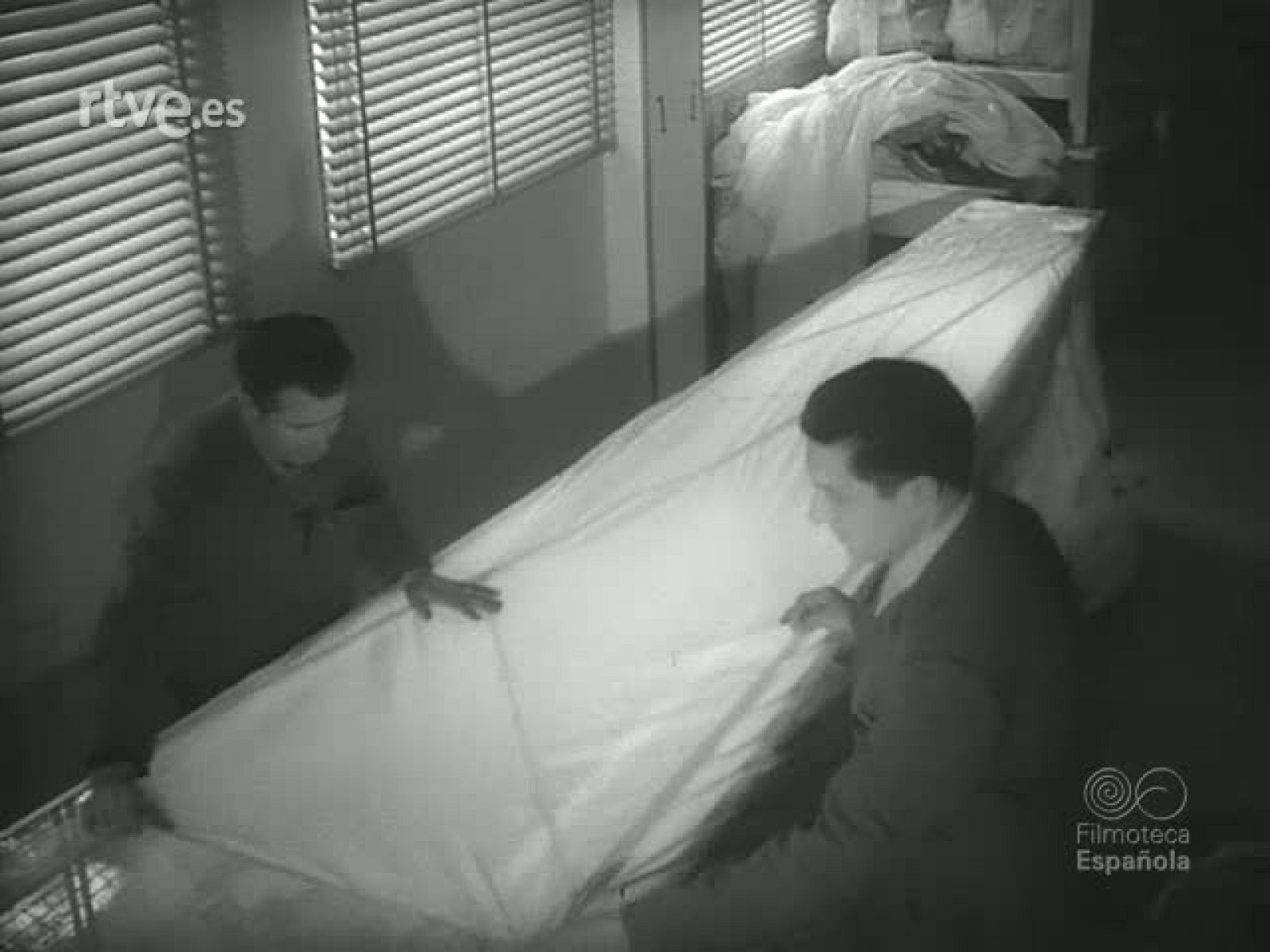 CAMPEONATO MILITAR DE PARACAIDISMO - Revista Imágenes | Ver