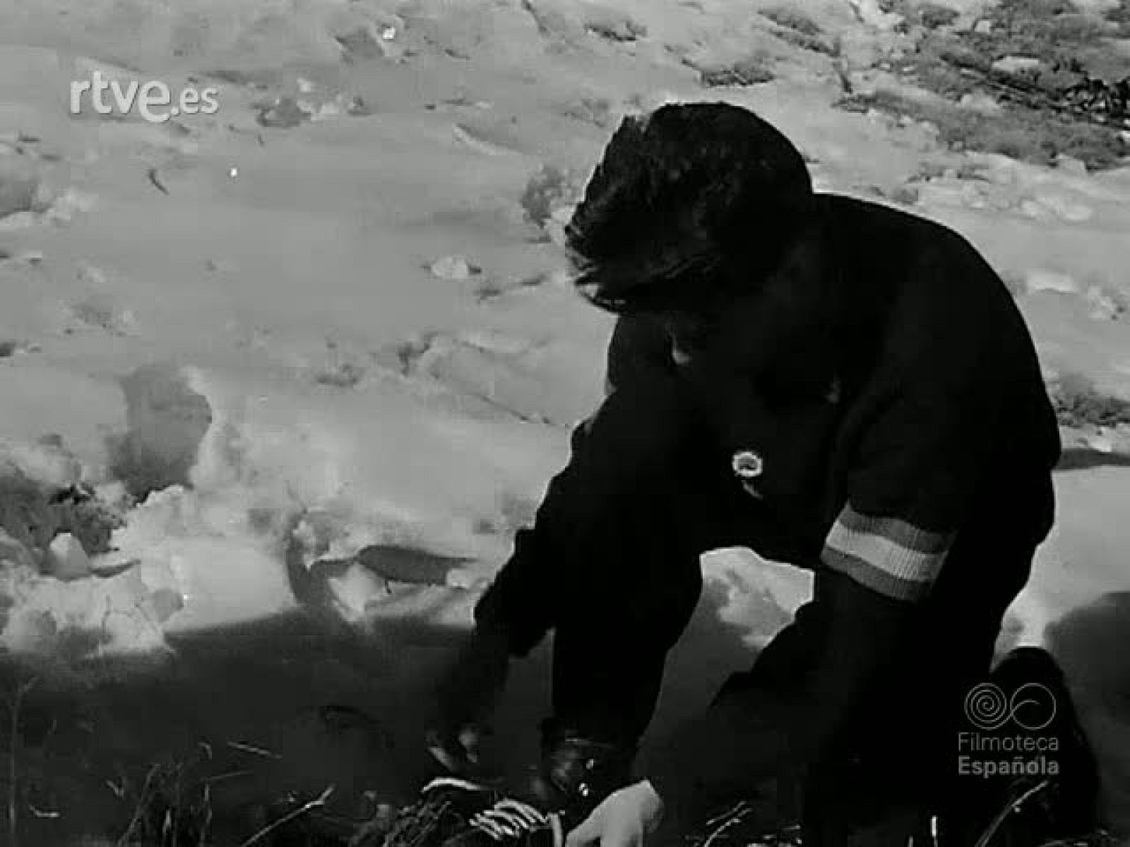 PISTAS BLANCAS - Revista Imágenes | Ver