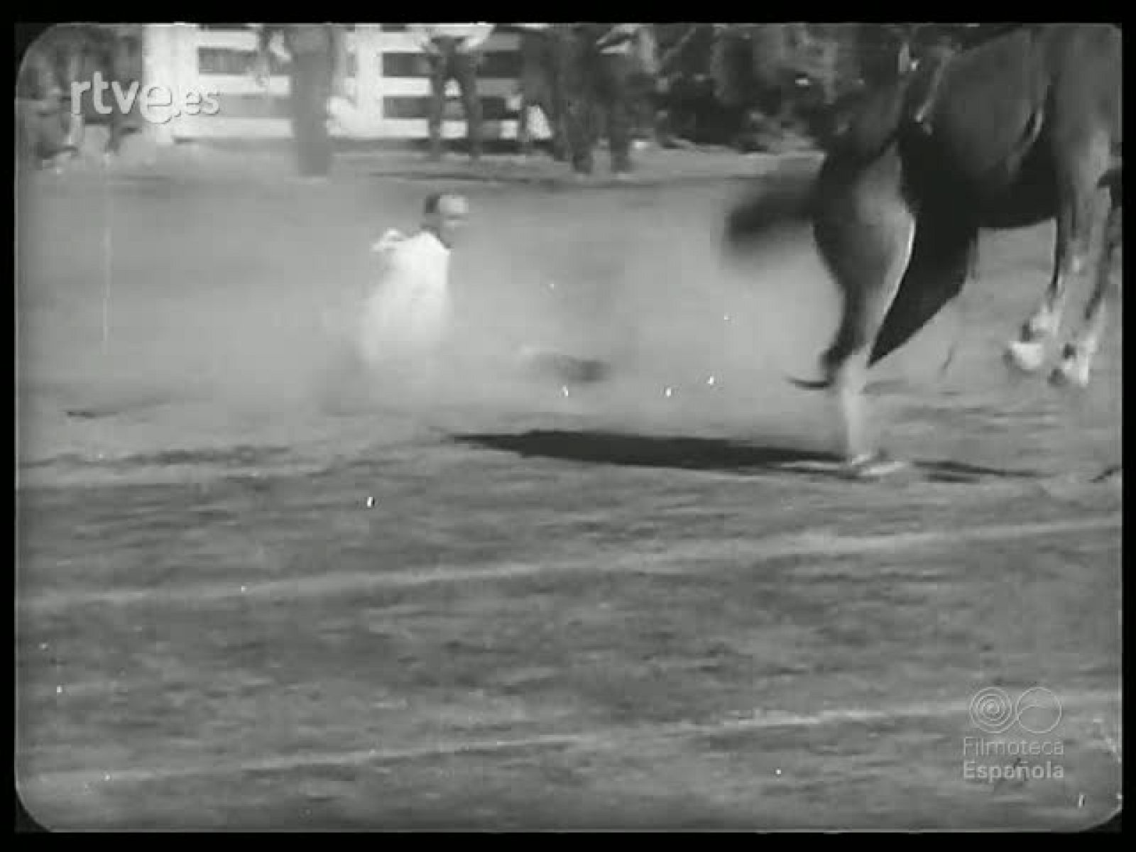 CABALLOS Y CARRERAS - Revista Imágenes | Ver