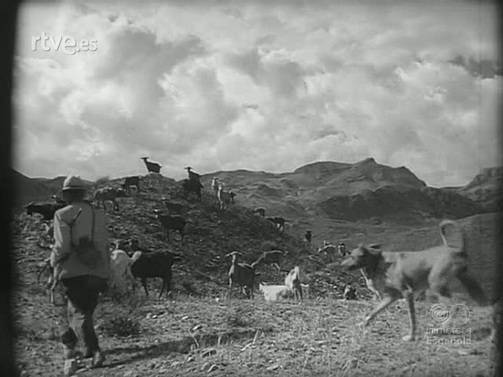 25 AÑOS DE PAZ AGRICULTURA - Revista Imágenes | Ver