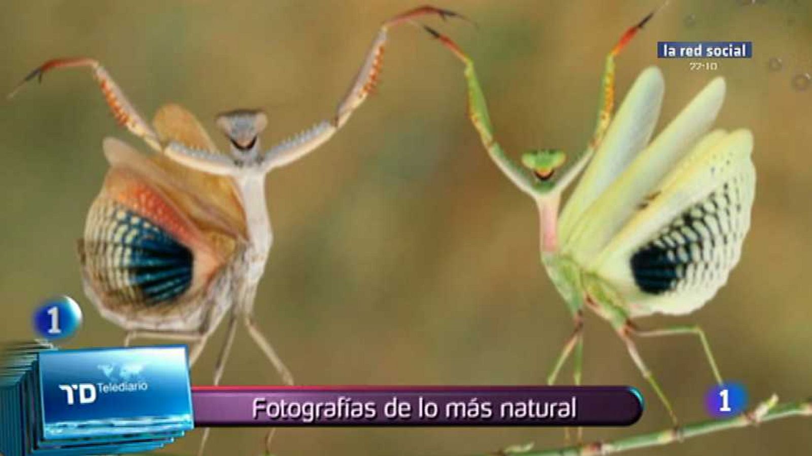 Lo que hay que ver - 09/11/14 - ver ahora