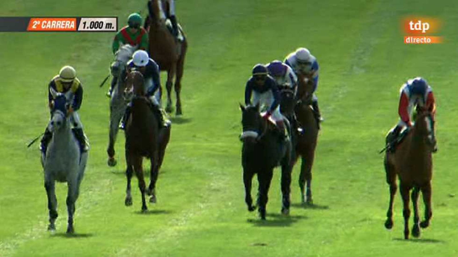 Turf - 09/11/14 - ver ahora