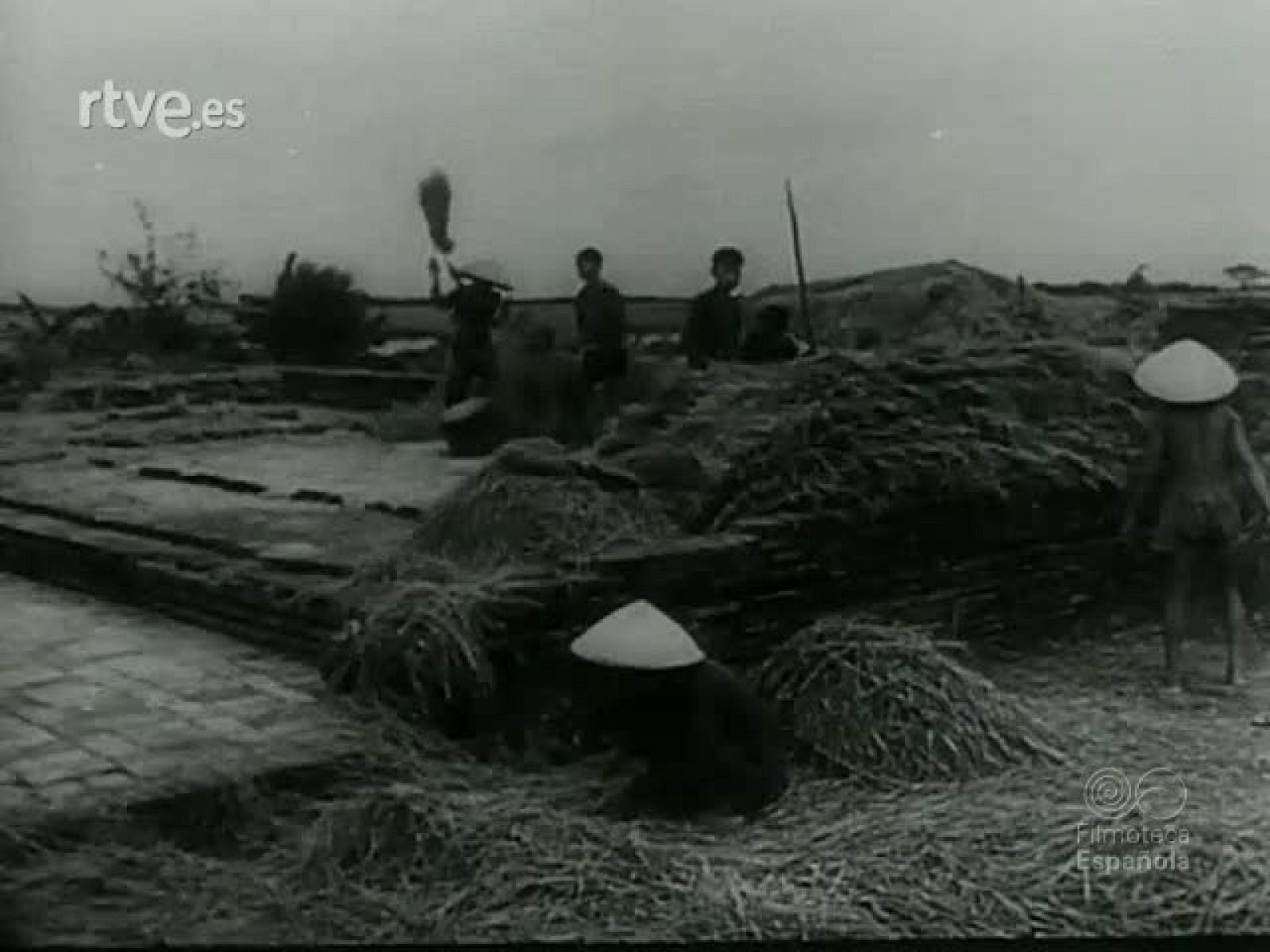 VIETNAM - Revista Imágenes | Ver