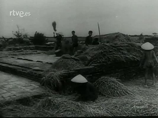 Revista Imágenes - VIETNAM