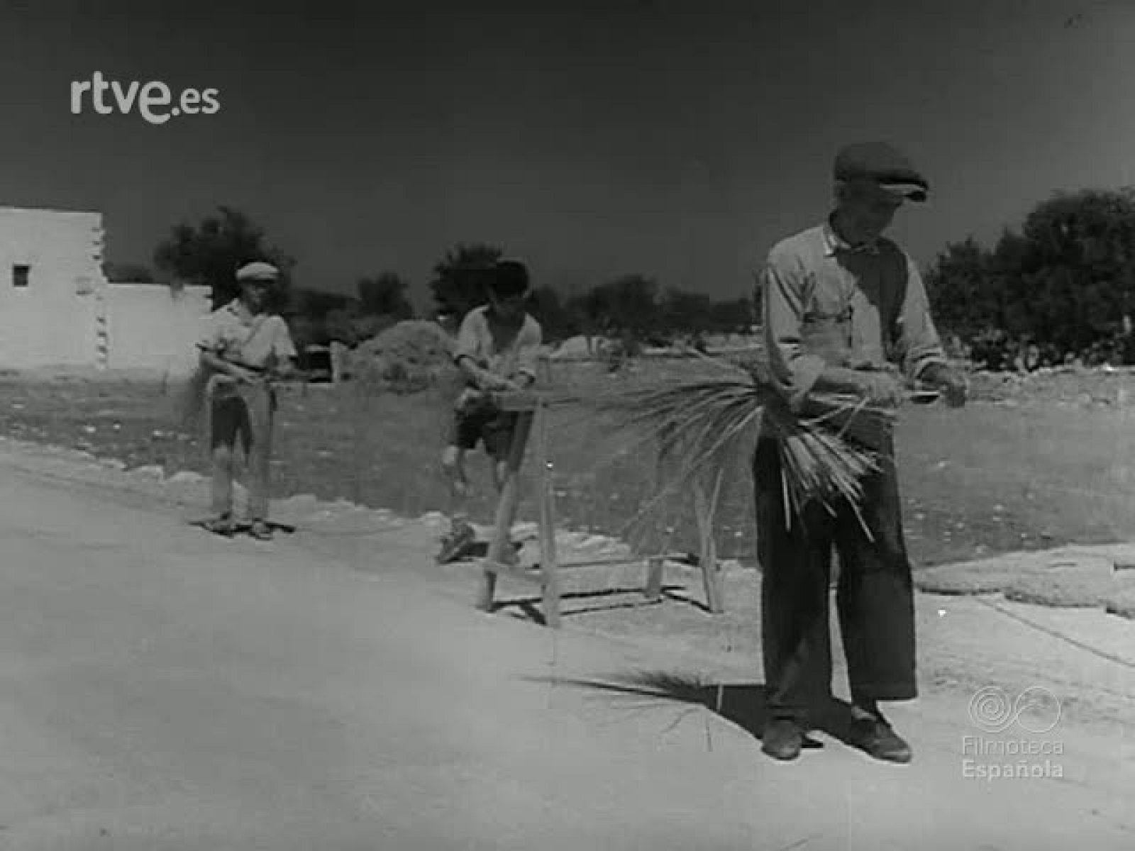 CUADROS Y ESCENAS - Revista Imágenes | Ver