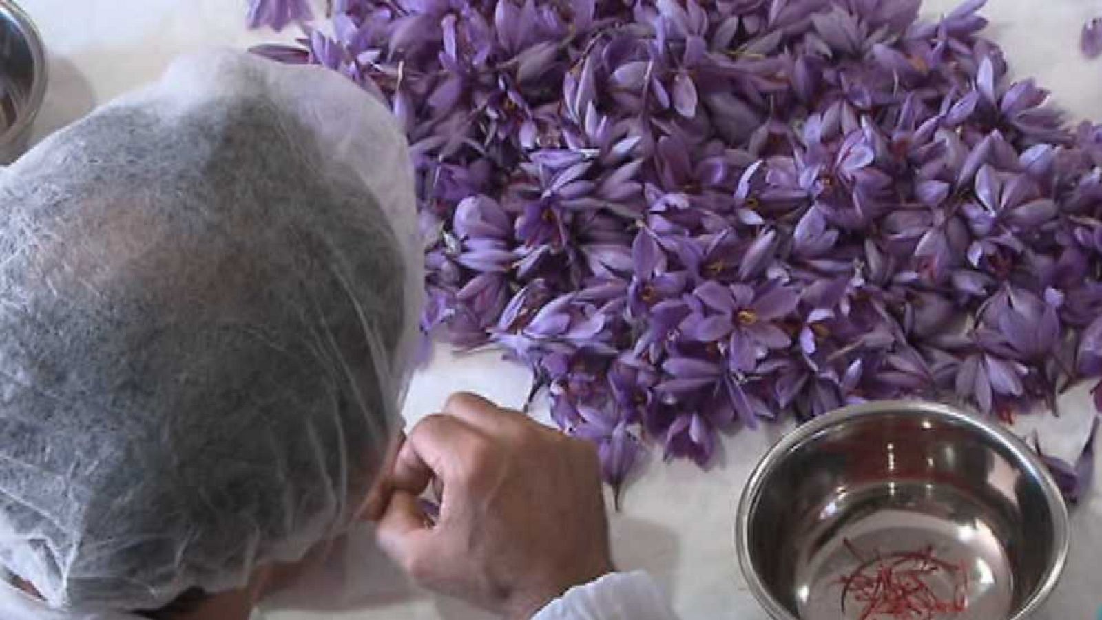 Aquí hay trabajo - 10/11/14 - ver ahora