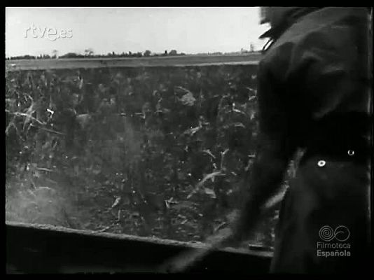 Revista Imágenes - PANORAMAS EXTRANJEROS