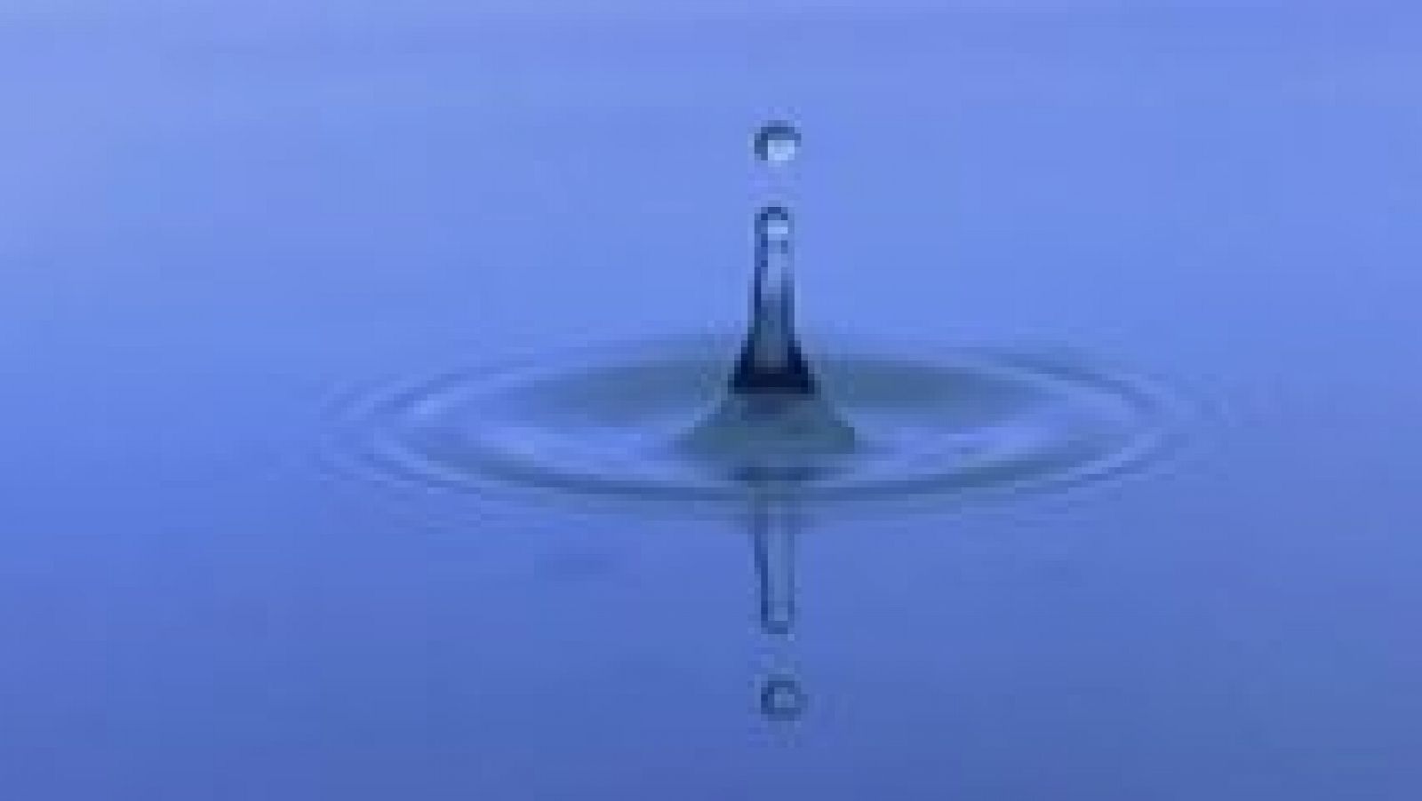 La aventura del saber - 10/11/14 - ver ahora