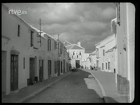 Revista Imágenes - OLIVOS Y NARANJOS