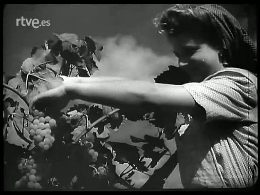 Revista Imágenes - UVAS Y BOTELLAS