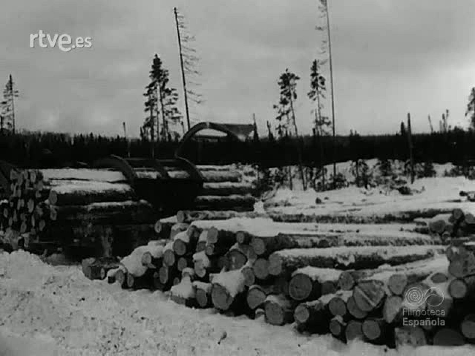 CAMPOS Y GANADOS - Revista Imágenes | Ver