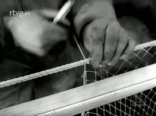 Revista Imágenes - PESCA