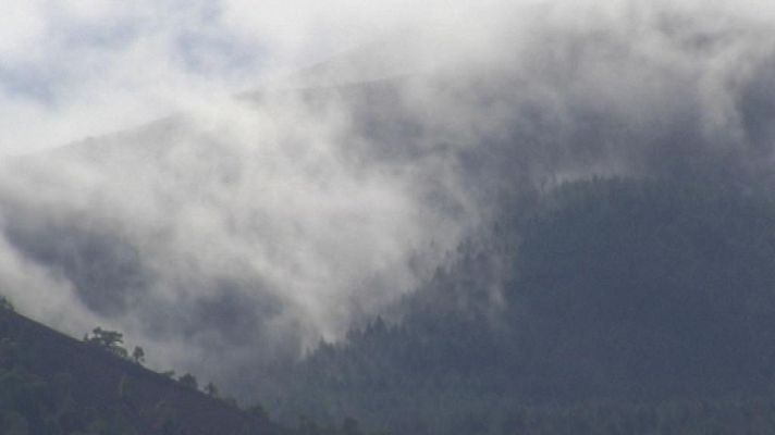 Telecanarias - El tiempo en Canarias - 10/11/14