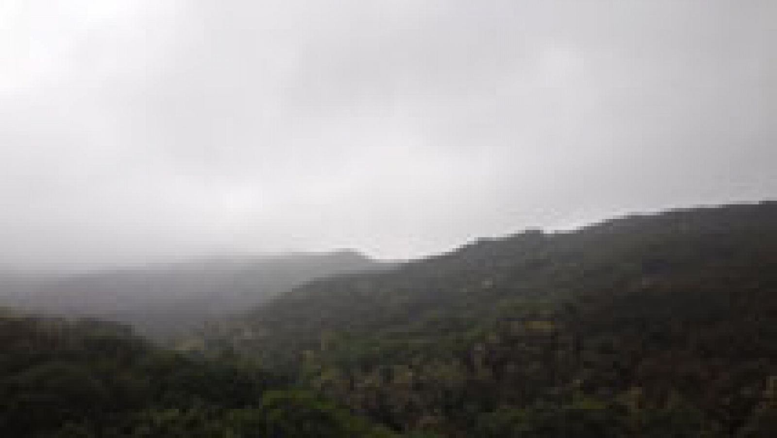 El Tiempo en la Comunidad de Madrid - 11/11/14