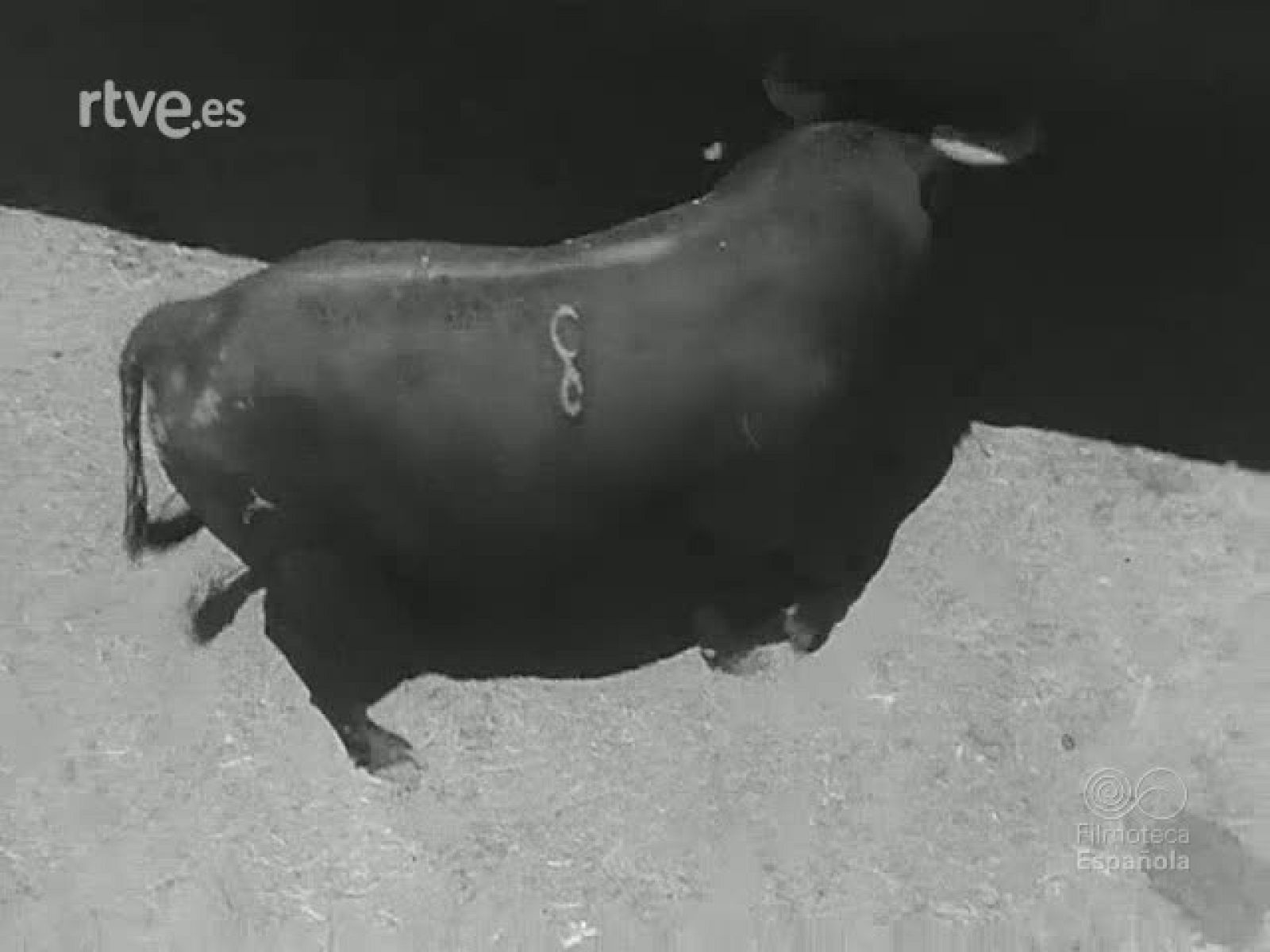 A LOS TOROS - Revista Imágenes | Ver