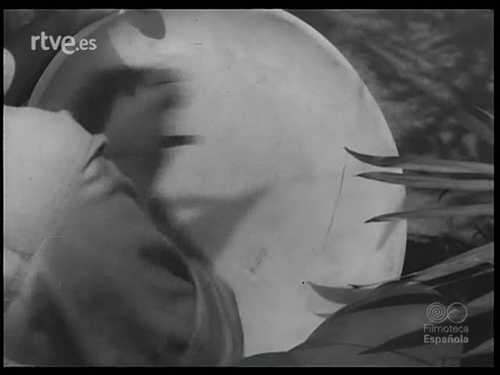 ARTESANIA Y TECNICA - Revista Imágenes | Ver