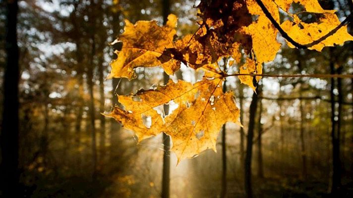 El tiempo - Temperaturas diurnas en ascenso en la mitad oriental
