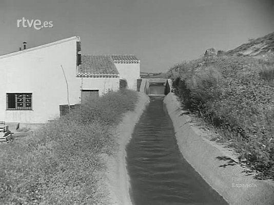 Revista Imágenes - EL CAMINO ANDANTE