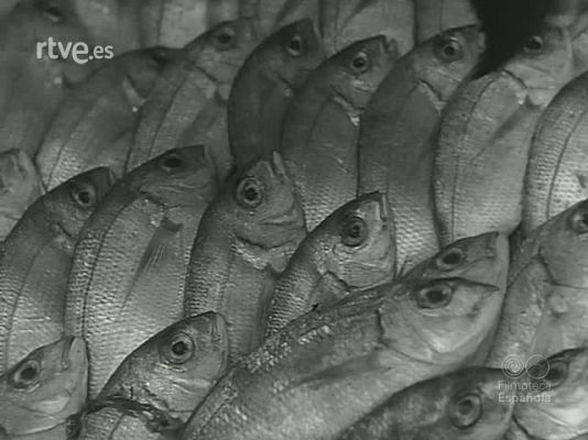 Revista Imágenes - MADRID PUERTO PESQUERO