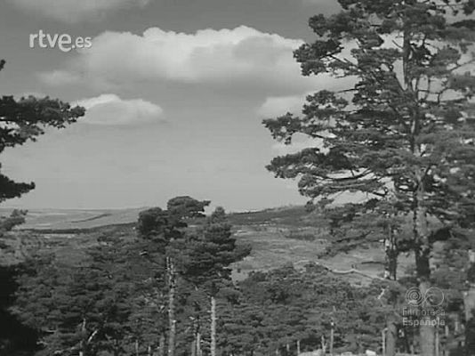 Revista Imágenes - TIERRAS RECUPERADAS