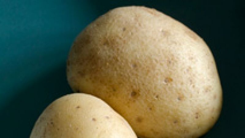 Las patatas transgénicas llegan a Estados Unidos