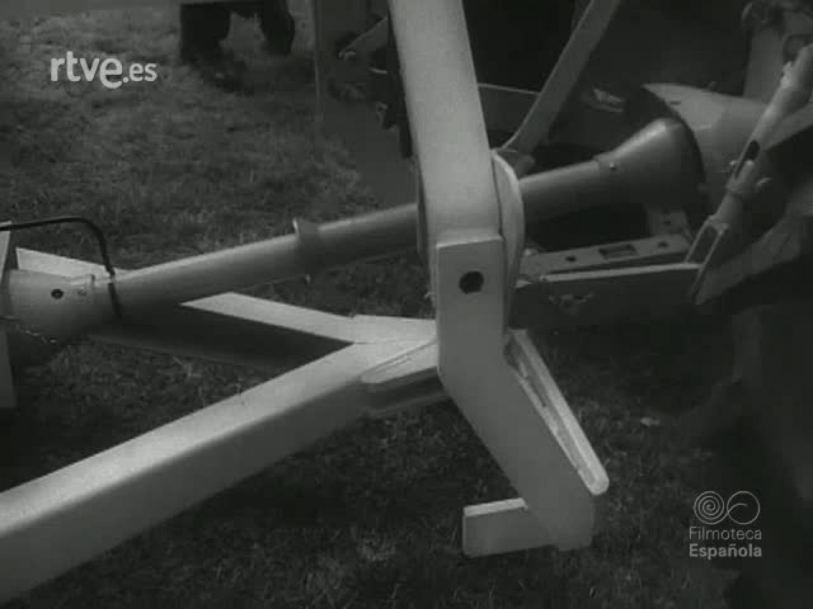 DE LOS  ANIMALES DOMESTICOS - Revista Imágenes | Ver