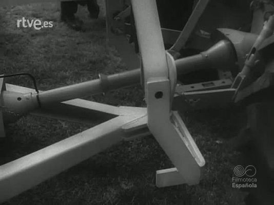 Revista Imágenes - DE LOS  ANIMALES DOMESTICOS