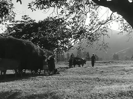 Revista Imágenes - EN LA COSTA VERDE