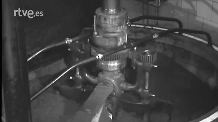 Revista Imágenes - OLIVOS Y ACEITE