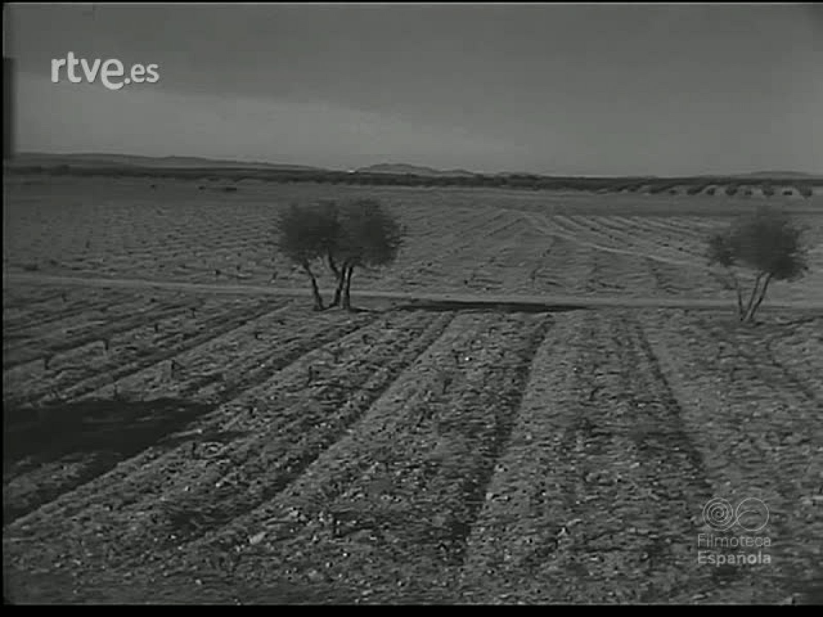 EN LAS LLANURAS MANCHEGAS - Revista Imágenes | Ver