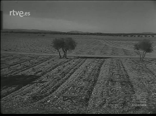 Revista Imágenes - EN LAS LLANURAS MANCHEGAS