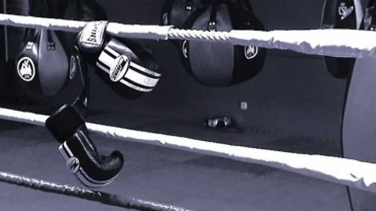 Objetivo Río - Programa 57 - Boxeo - Ver ahora