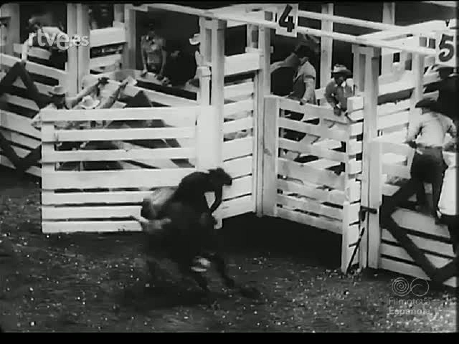 GANADOS Y VAQUEROS - Revista Imágenes | Ver